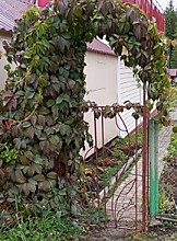 Входная калитка