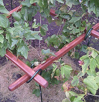 Опоры для ягодных кустов и деревьев